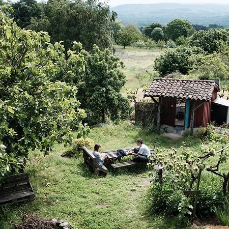 Torre Tanquian Eco Finca - Ribeira Sacra Panton Ngoại thất bức ảnh