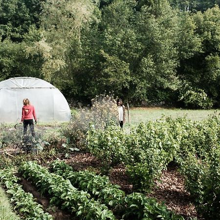 Torre Tanquian Eco Finca - Ribeira Sacra Panton Ngoại thất bức ảnh