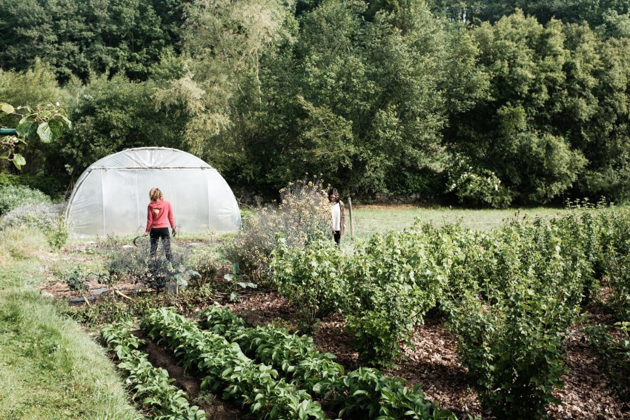 Torre Tanquian Eco Finca - Ribeira Sacra Panton Ngoại thất bức ảnh