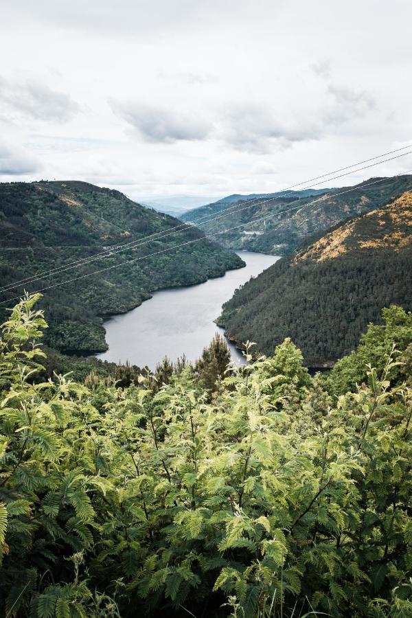 Torre Tanquian Eco Finca - Ribeira Sacra Panton Ngoại thất bức ảnh