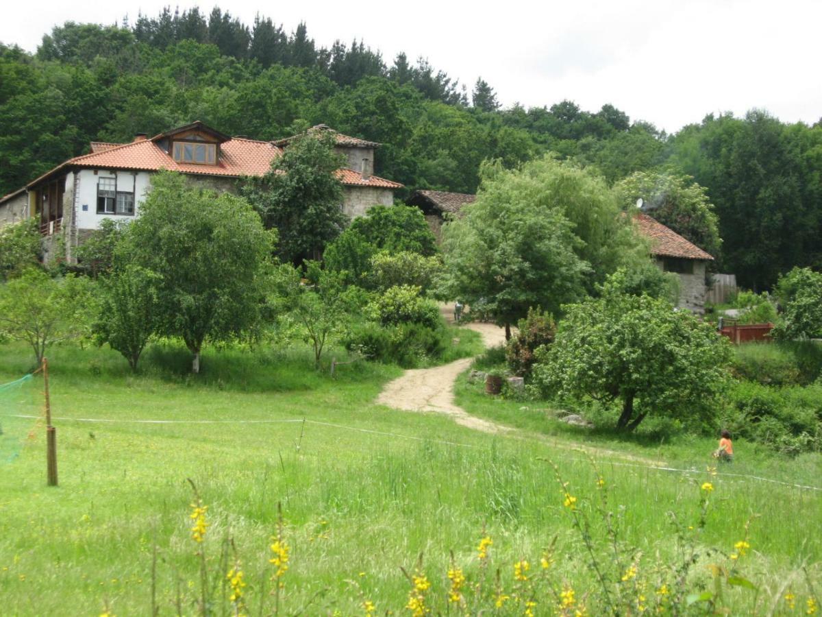 Torre Tanquian Eco Finca - Ribeira Sacra Panton Ngoại thất bức ảnh