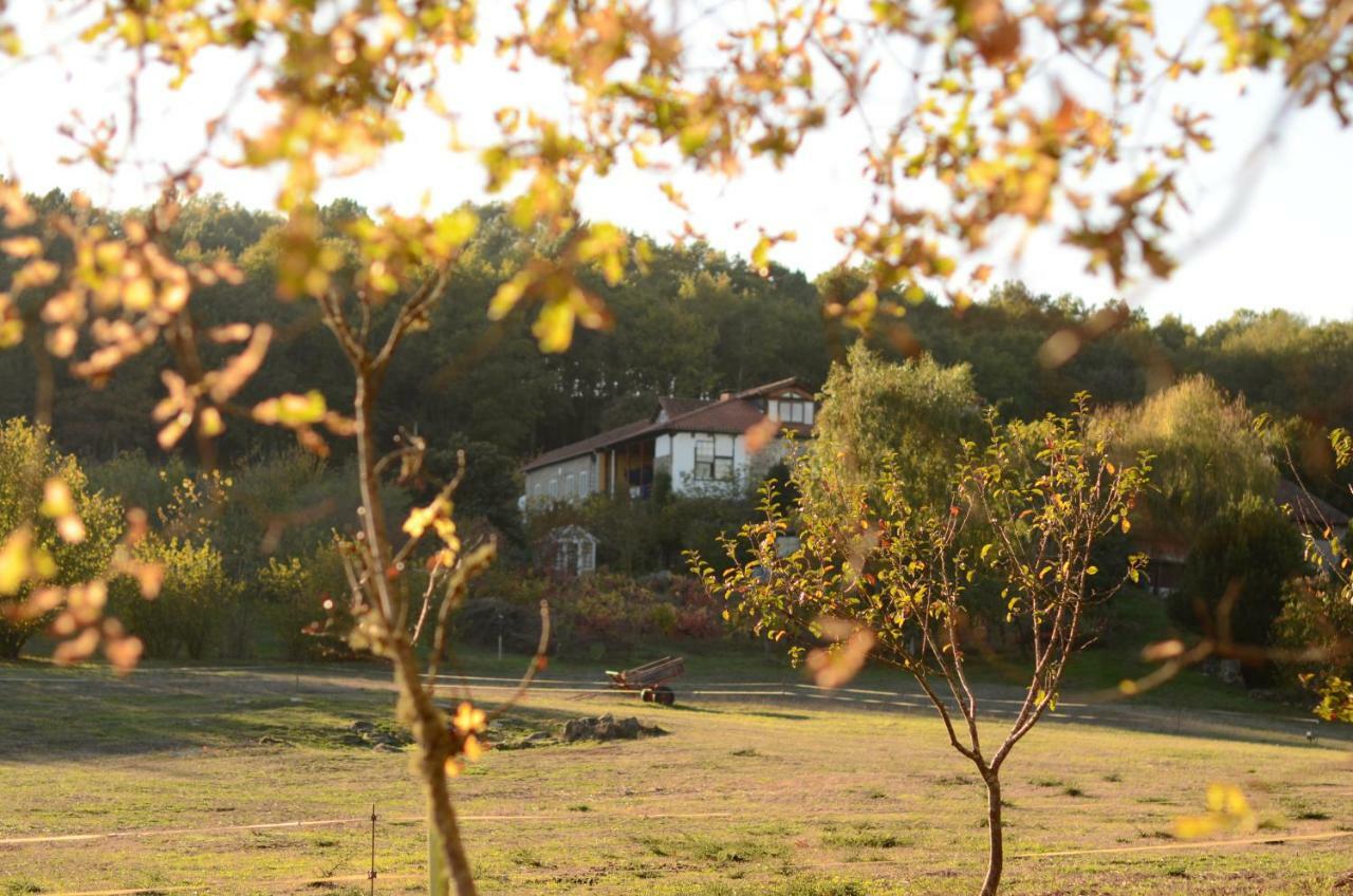 Torre Tanquian Eco Finca - Ribeira Sacra Panton Ngoại thất bức ảnh