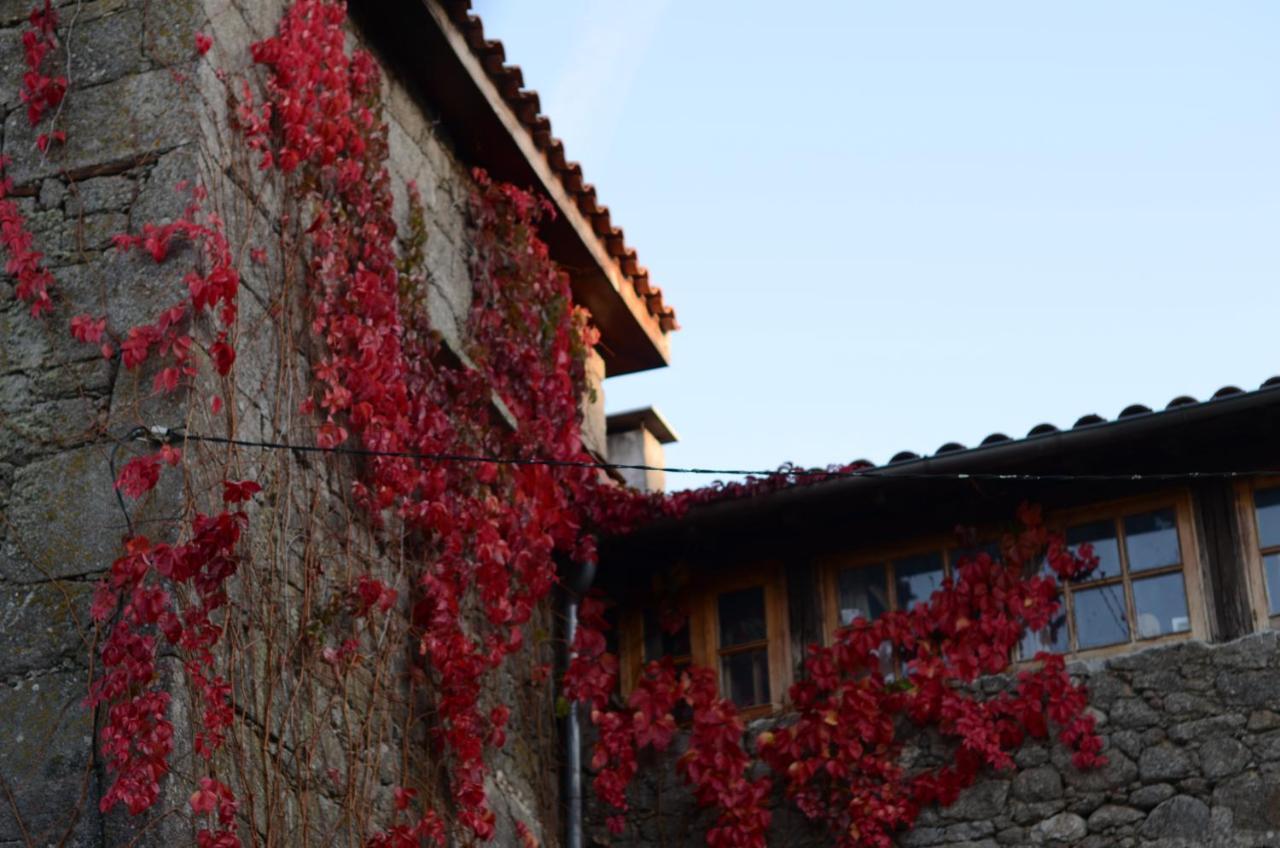 Torre Tanquian Eco Finca - Ribeira Sacra Panton Ngoại thất bức ảnh